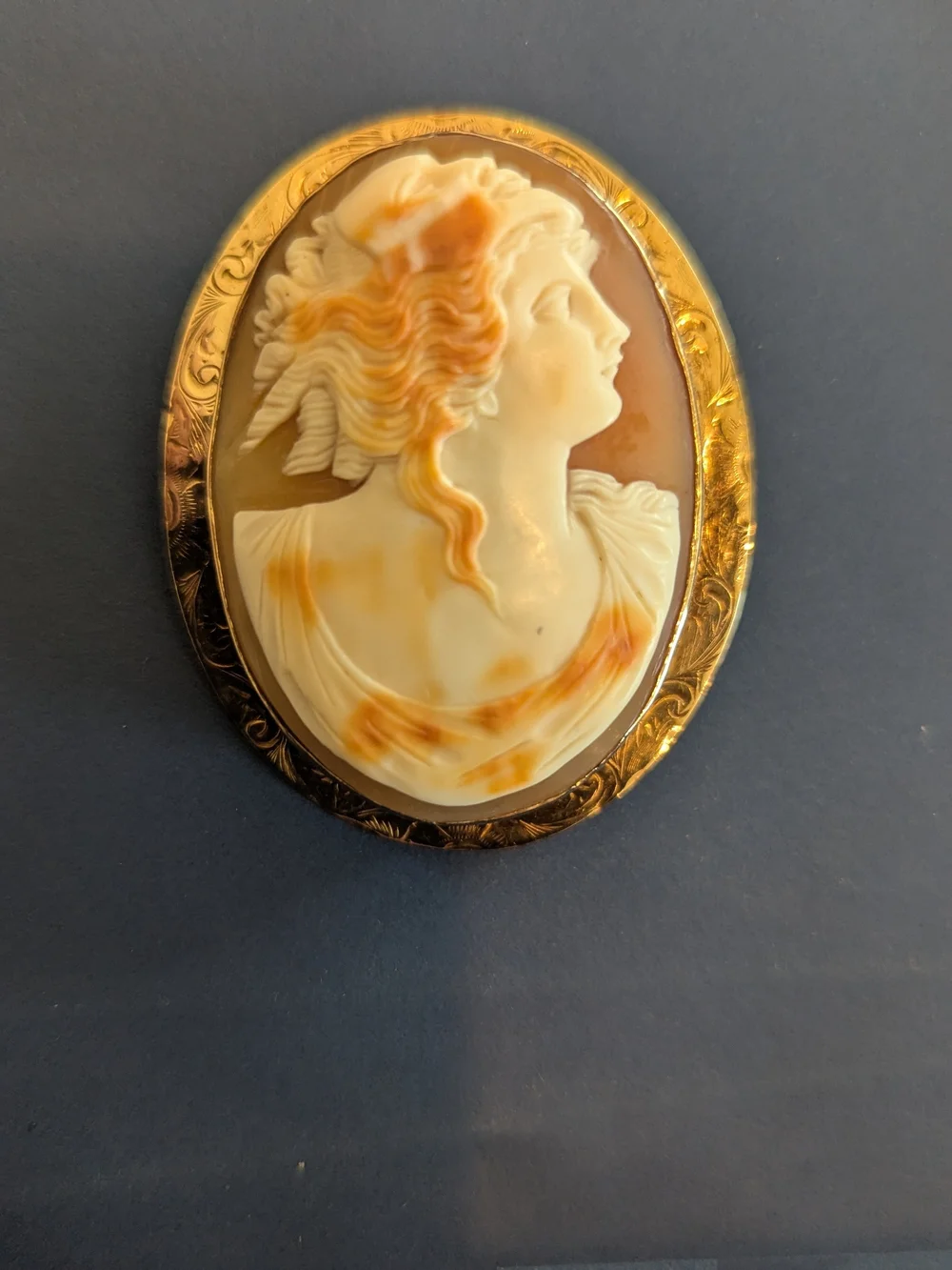 Antique 10K Solid Gold Left-Facing Shell Cameo Brooch / Pin